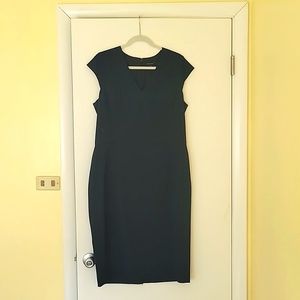 Ann Taylor Navy Blue Dree